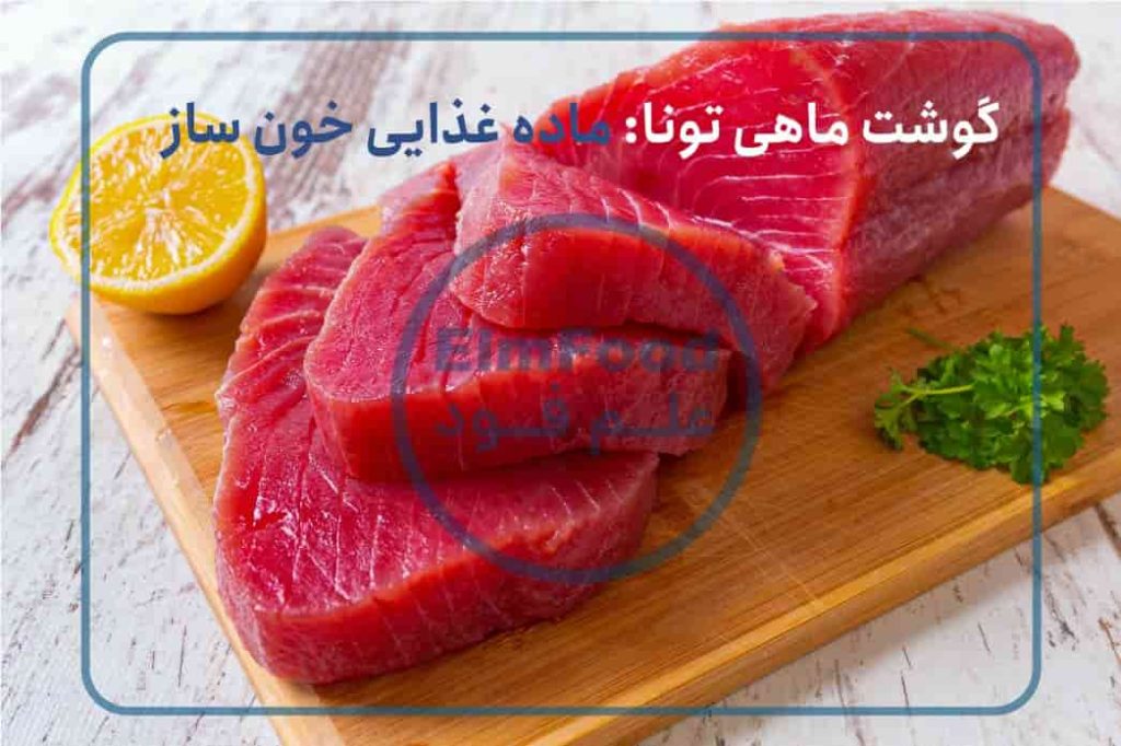 گوشت-ماهی-تونا،-ماده-غذایی-خون-ساز(1)
