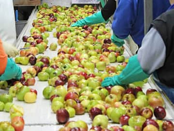 خط تولید آب سیب