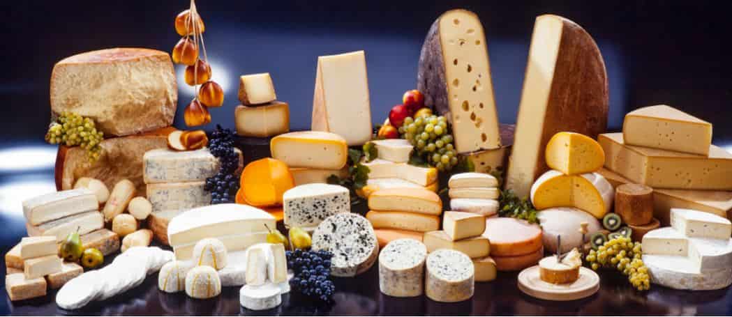 خط تولید پنیر