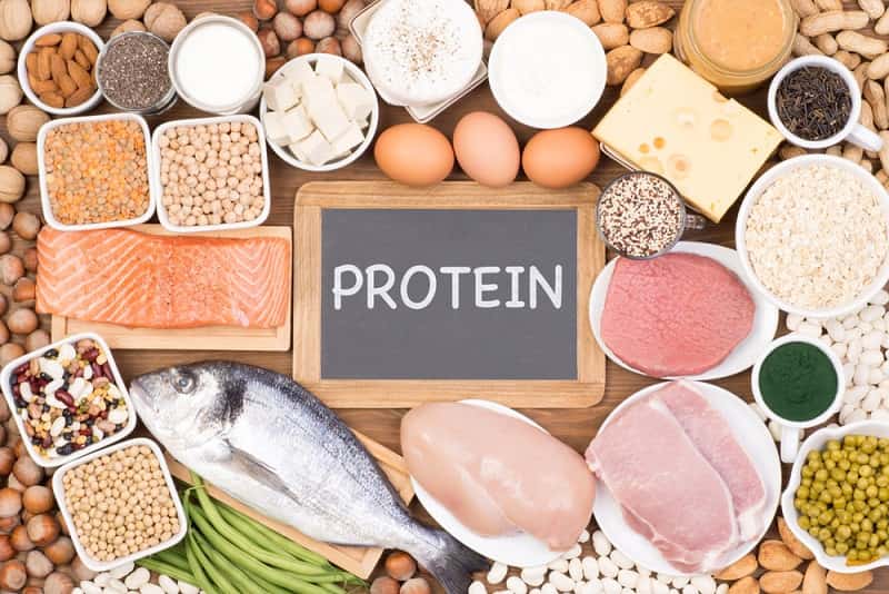 روش اندازه گیری پروتئین مواد غذایی