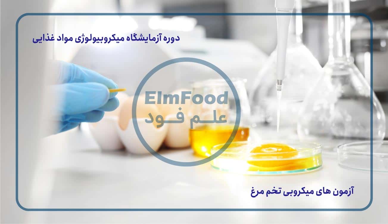 آزمون-های-میکروبی-تخم-مرغ،-آزمایشگاه-میکروبی-مواد-غذایی