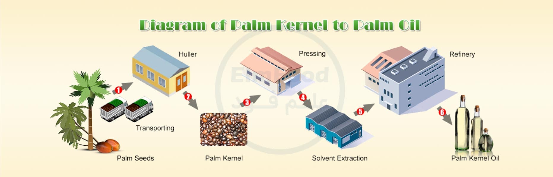 مراحل تولید روغن پالم