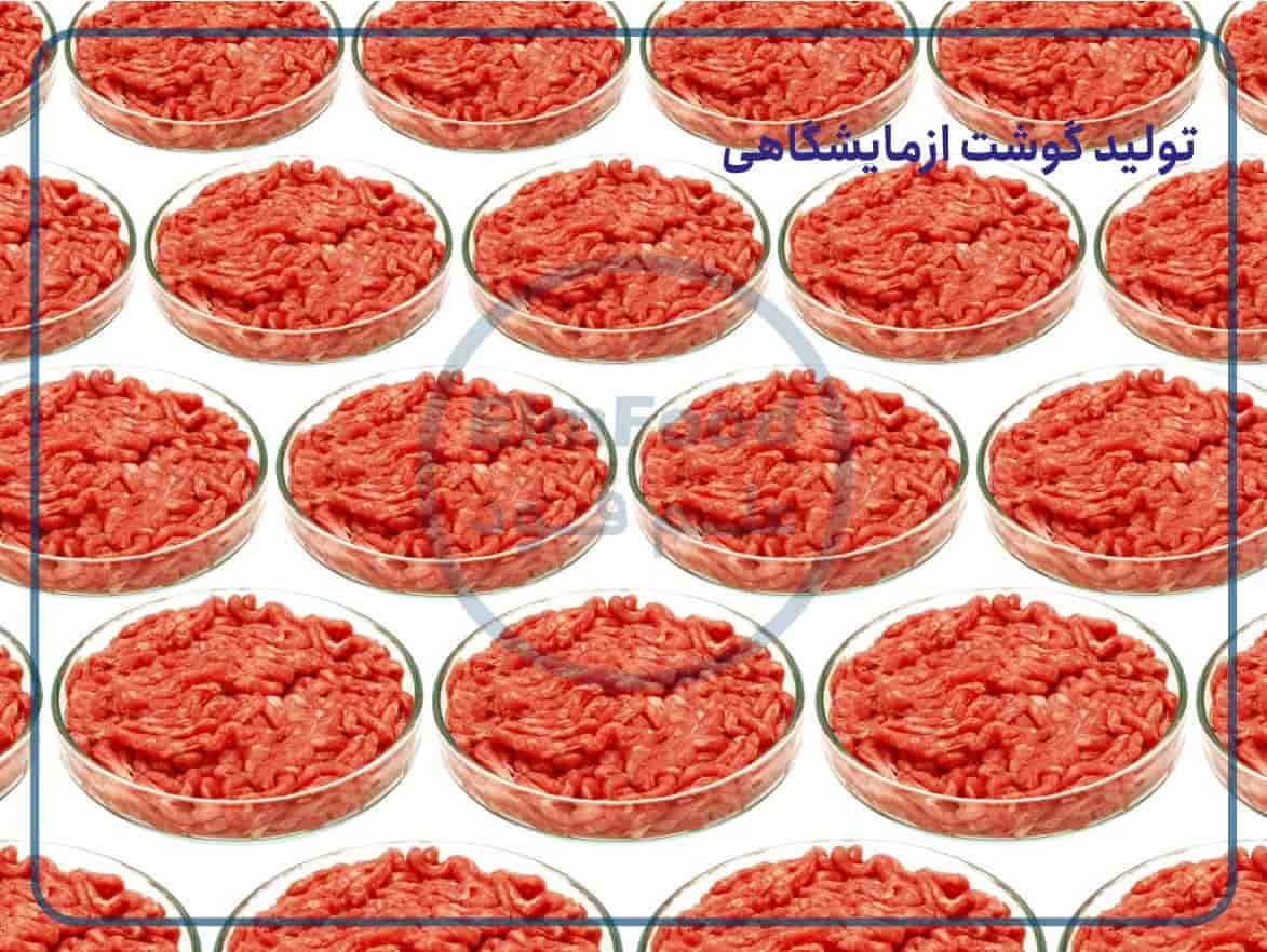 تولید گوشت آزمایشگاهی در ایران