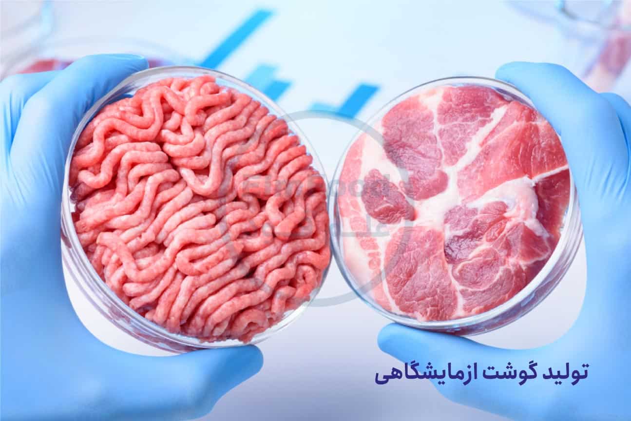 تولید گوشت آزمایشگاهی