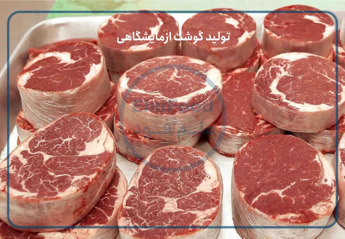 تولید گوشت کشت شده یا گوشت آزمایشگاهی