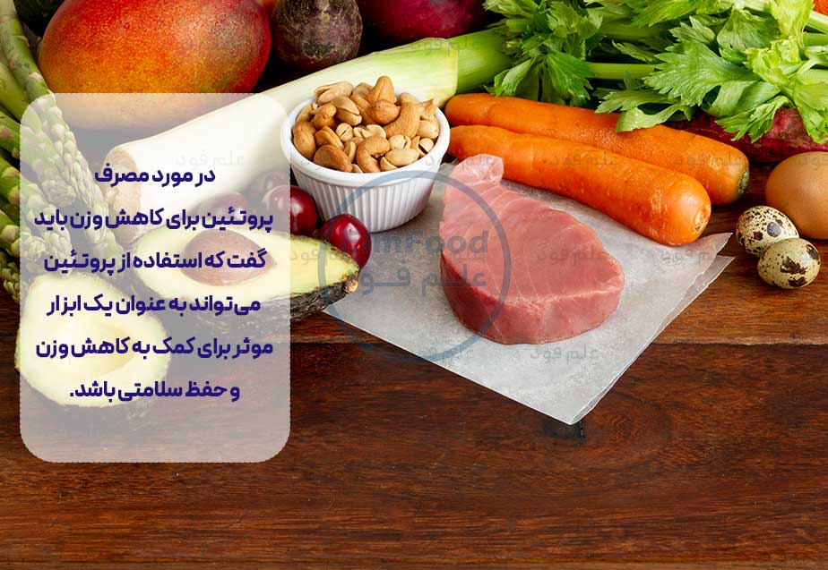 مصرف پروتئین برای کاهش وزن، جدول مواد غذایی پروتئین دار، مواد غذایی سرشار از پروتئین
