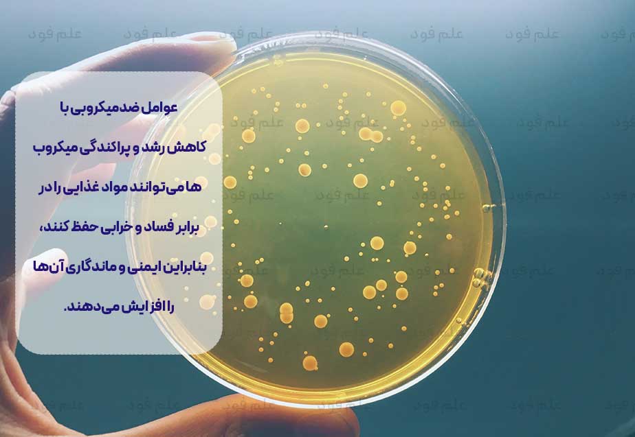 عوامل ضدمیکروبی مواد غذایی، مواد ضد میکروبی در صنایع غذایی